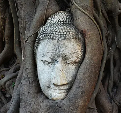 Ayutthaya
