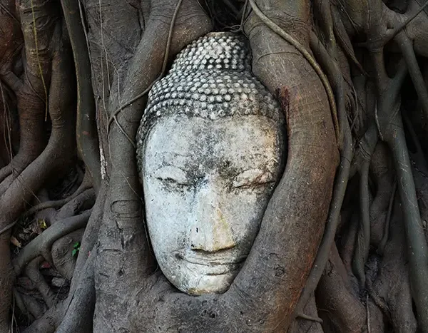 Ayutthaya