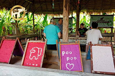 Chiangmai Family and Kid Friendly Private Day Tour